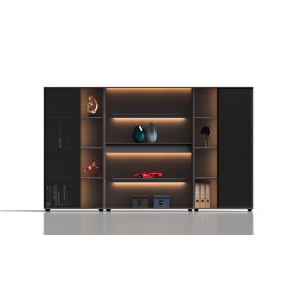 Executive Contemporary LED Cabinet Dubai – modern office storage with LED shelves UAE